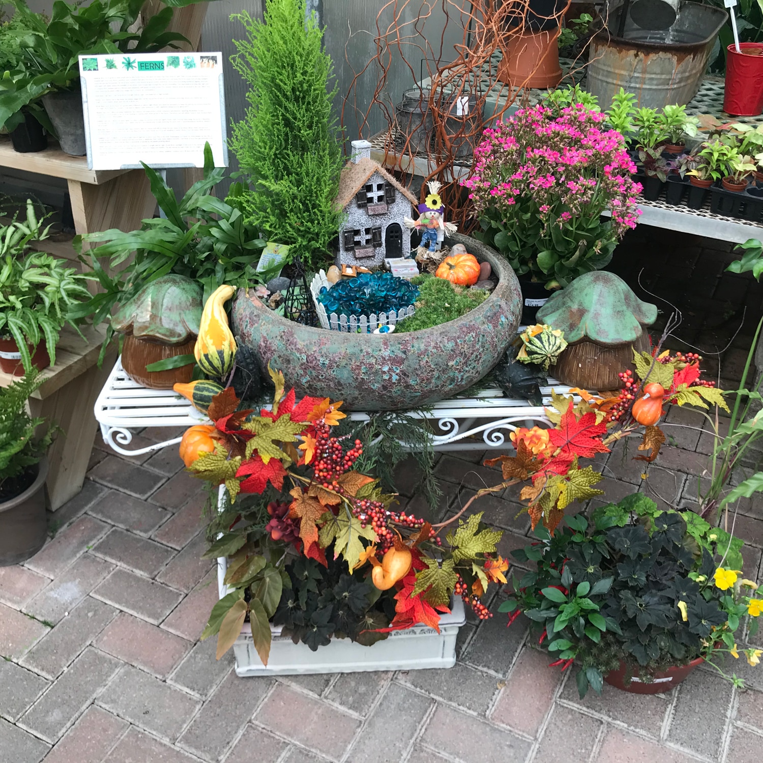 Fall | Strader's Garden Center