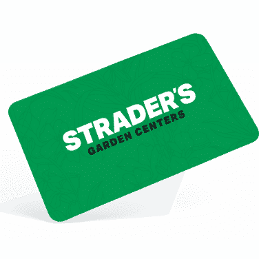 Gift Card | Strader's Garden Center