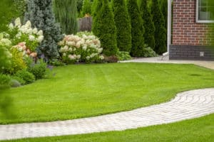 Lawn Care & Garden | Strader's Garden Center