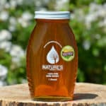 Natures Honey Logo