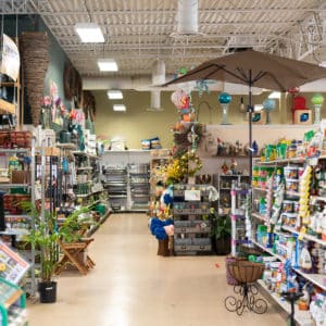 Powell Location | Strader's Garden Center