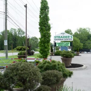 Reynoldsburg Location | Strader's Garden Center