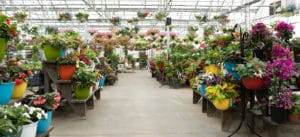 Reynoldsburg Location | Strader's Garden Center