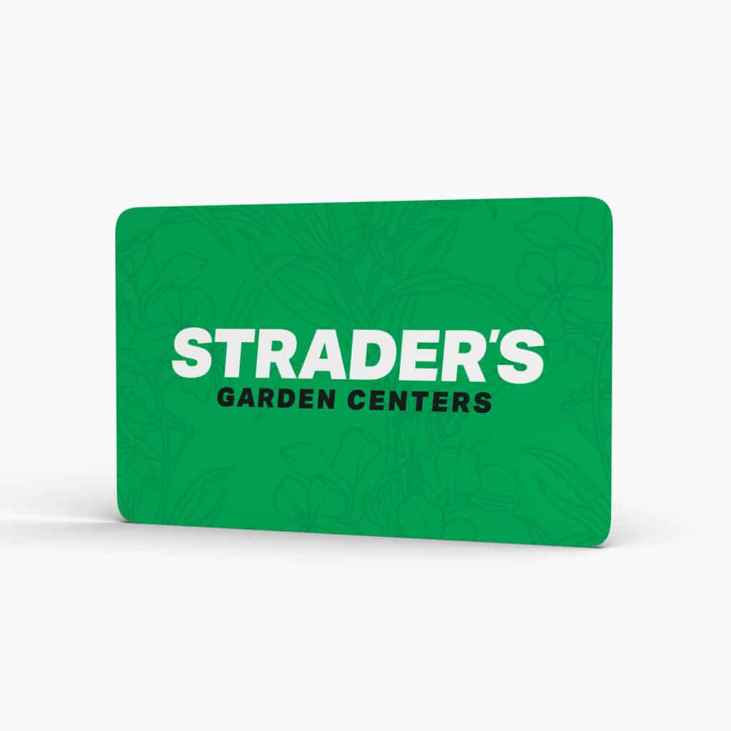 Gift Card | Strader's Garden Center