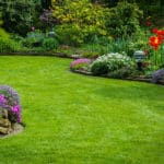 Lawn Care | Strader's Garden Center