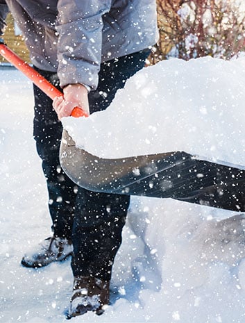 Winter Snow | Strader's Garden Center