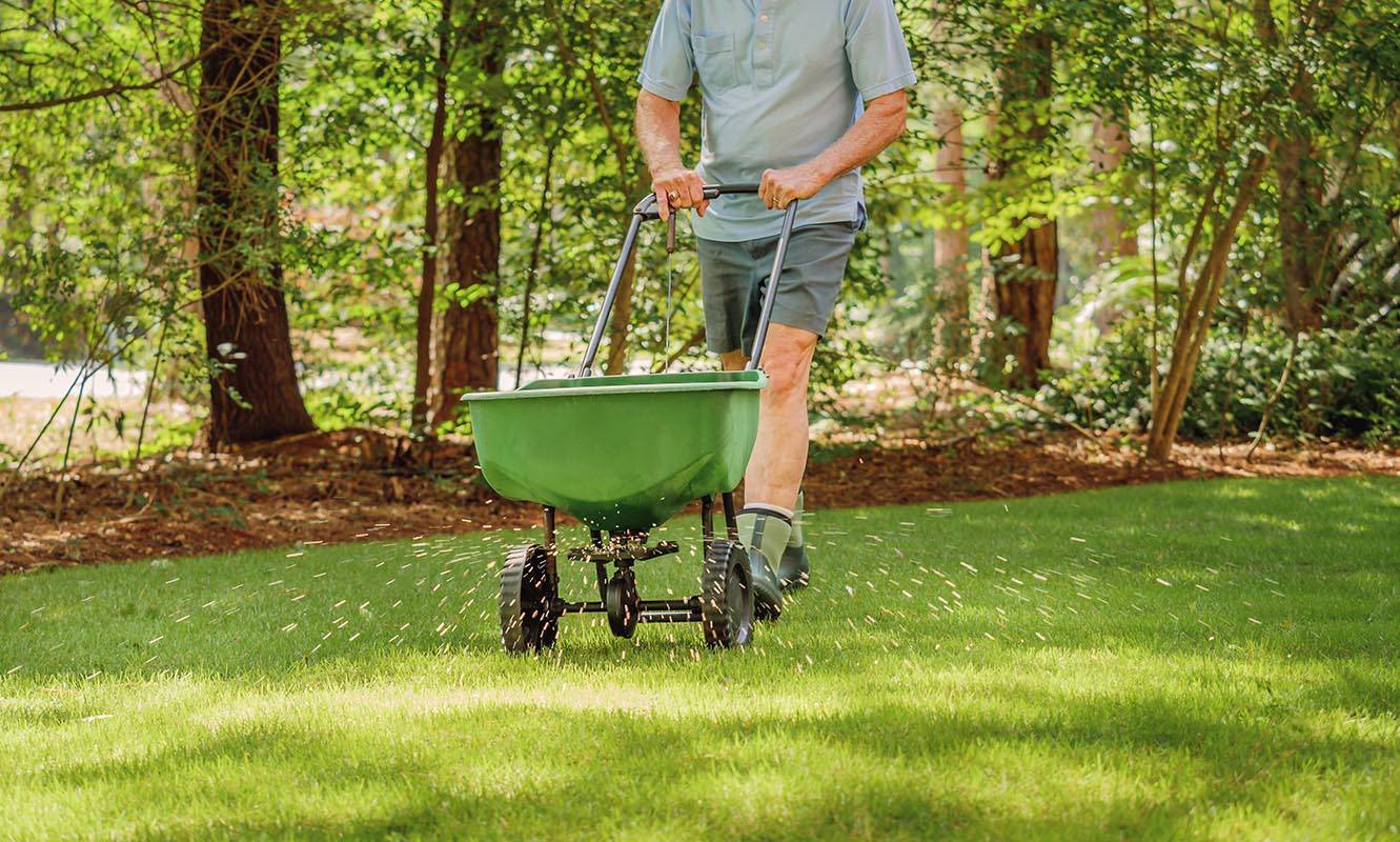 Lawn Fertilization | Strader's Garden Center