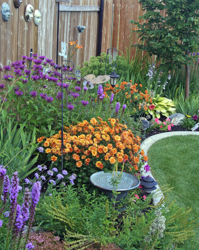 Perennial Flower Garden | Strader's Garden Center