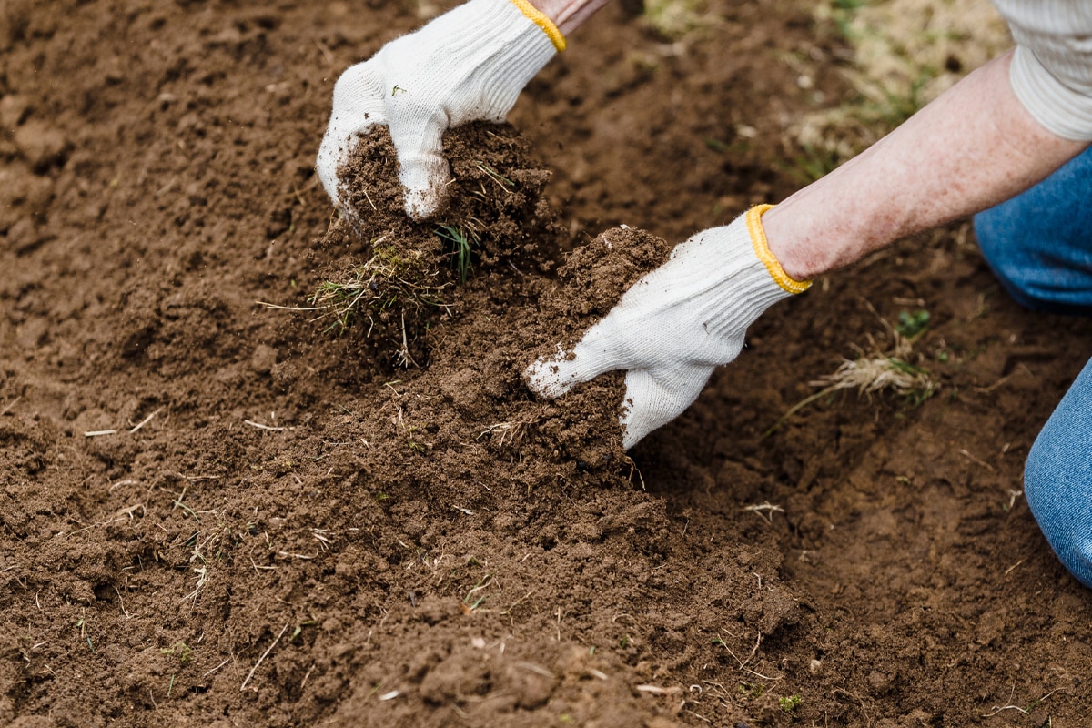 Fertilome Peat Moss  Green House and Garden Supply