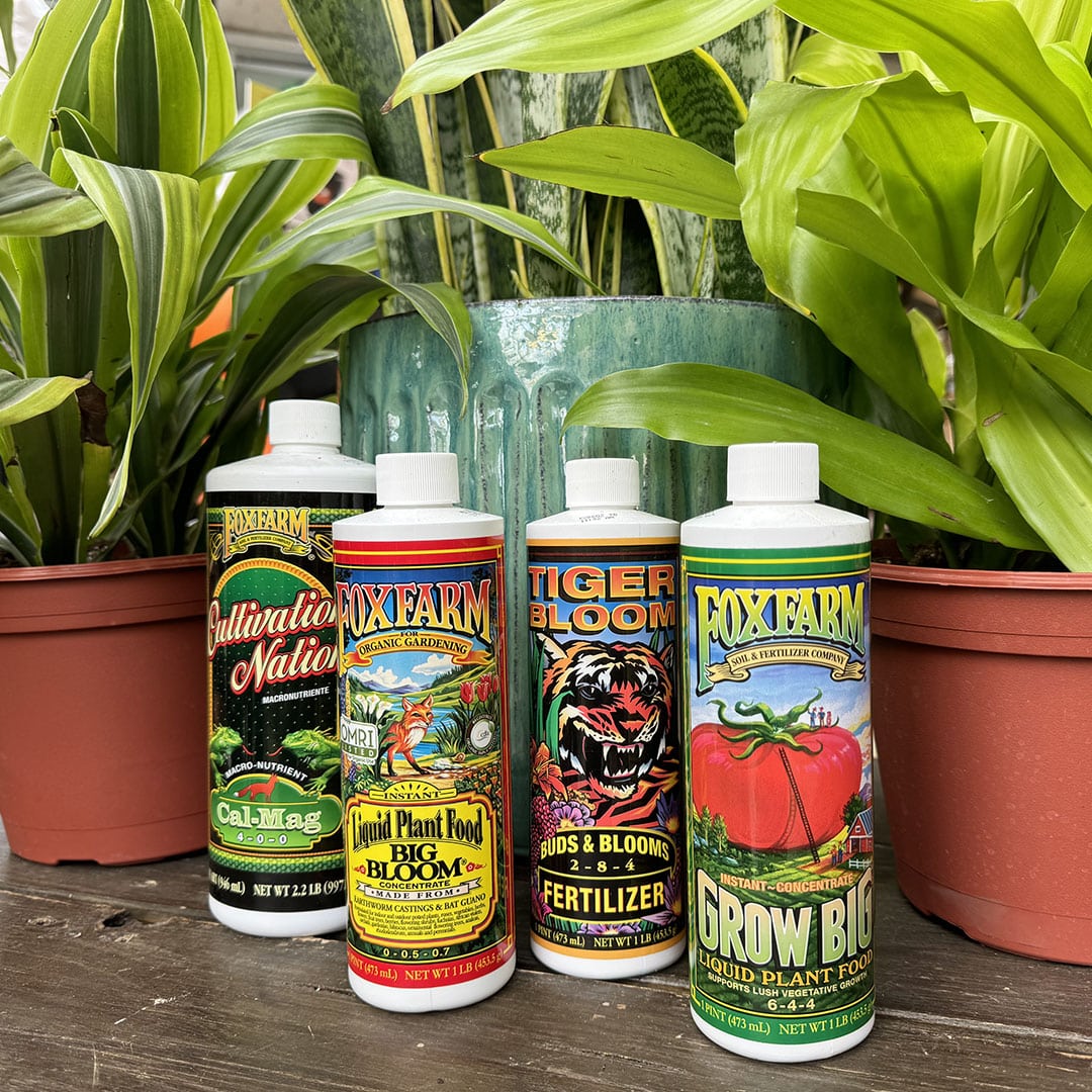 Grow Healthy with Fox Farm Fertilizer Available at Strader’s Strader