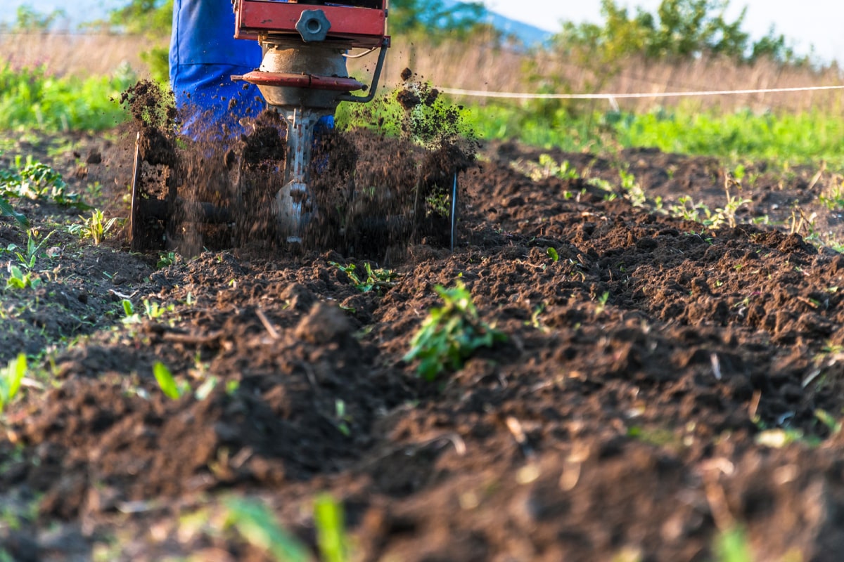 Preparing your soil for planting season