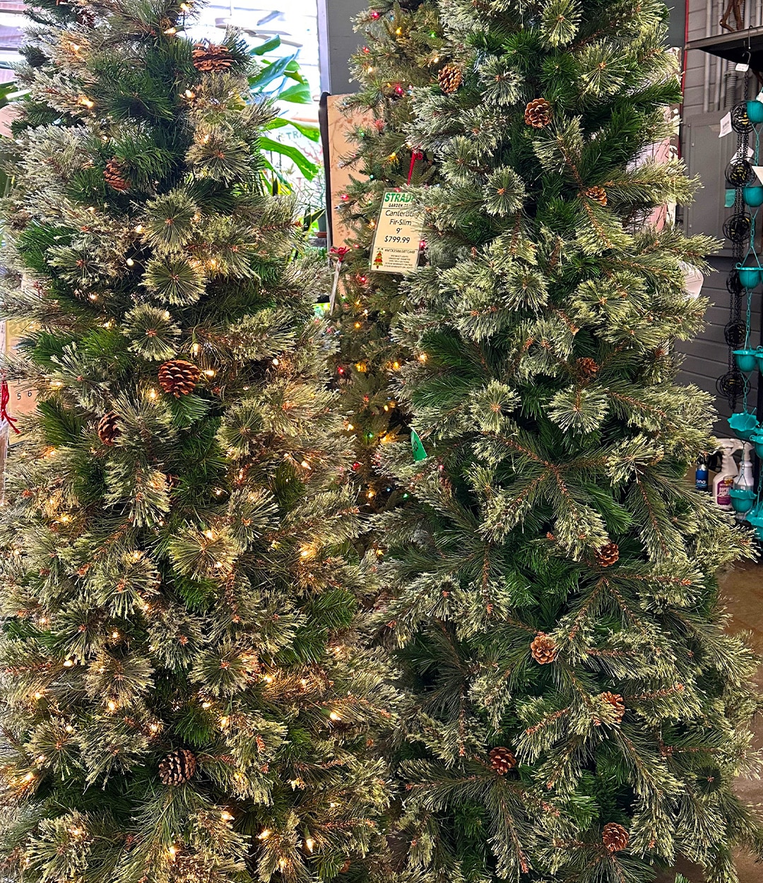 Christmas Trees