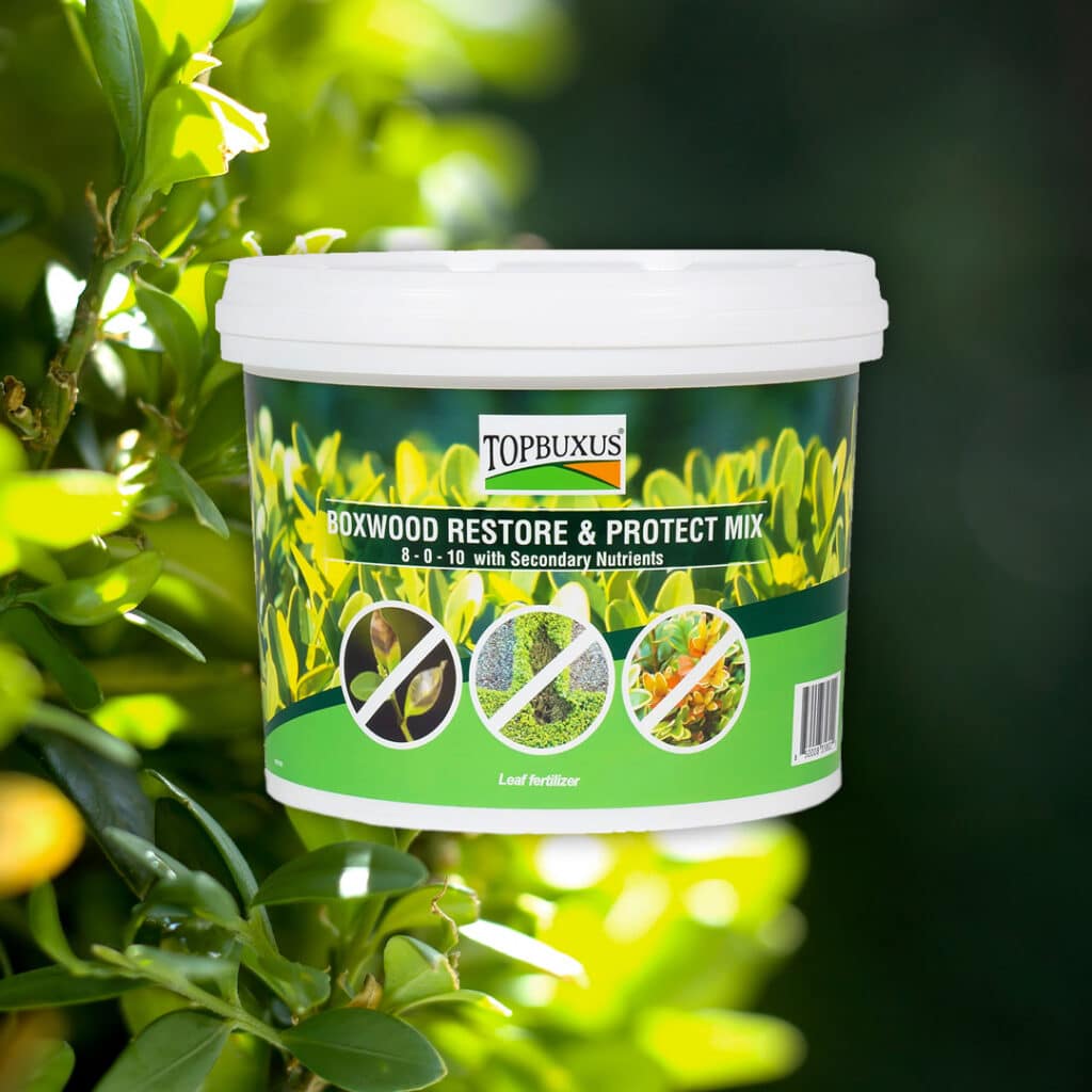 Topbuxus Turbo Grow & Restore & Protect Mix