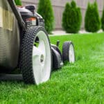 Weed Control & Lawn Care