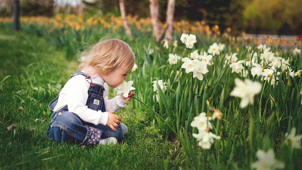 Nature Everywhere  Children & Nature Network