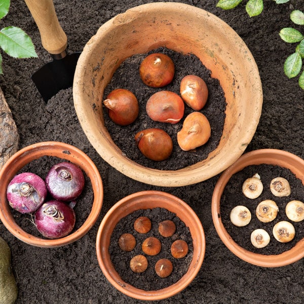 Pots, Planters, Soil and Mulch